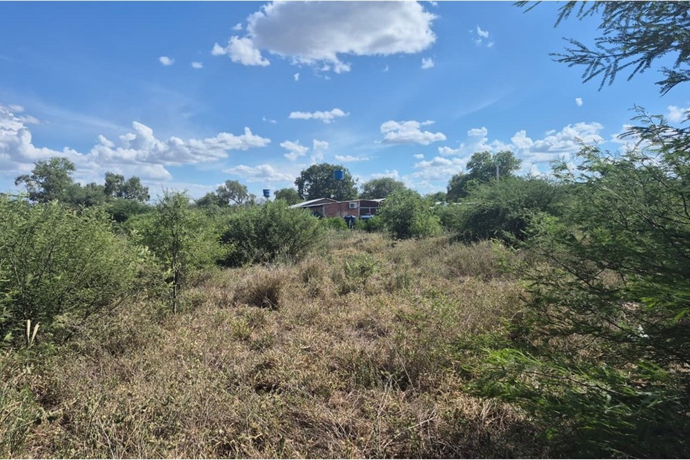 Terreno en venta en Filadelfia — foto 2