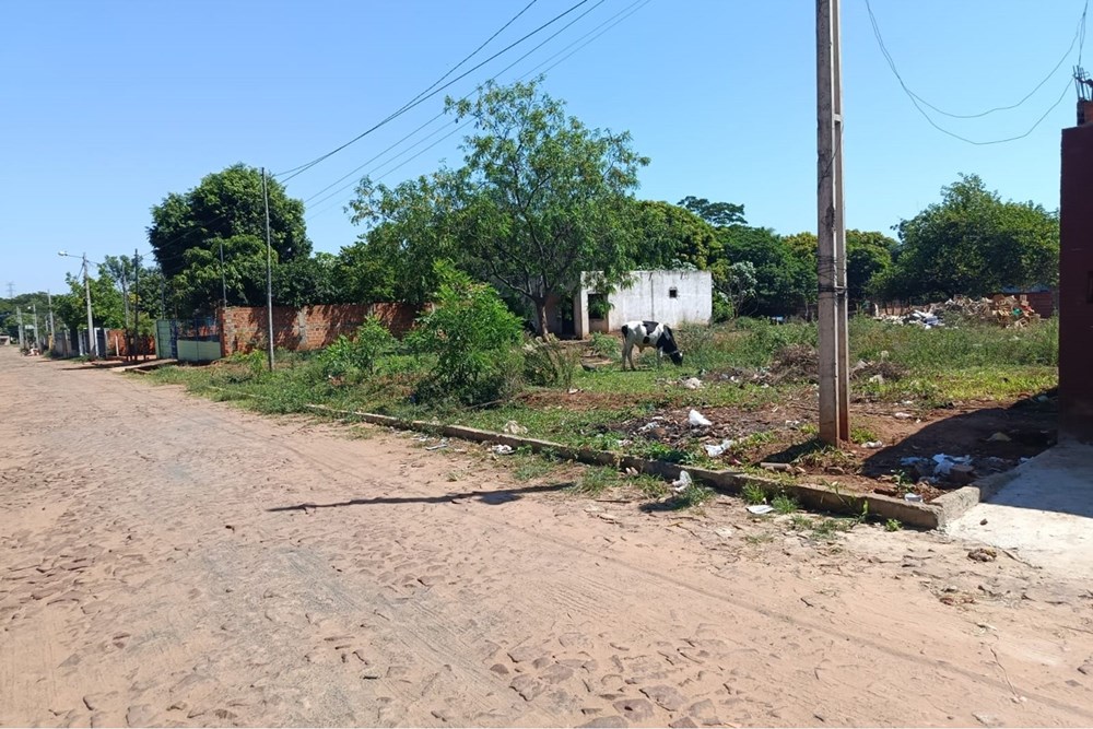 Terreno en venta en Julián Augusto Saldívar — foto 3