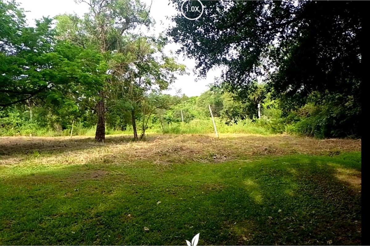 Terreno en venta en Limpio — foto 2