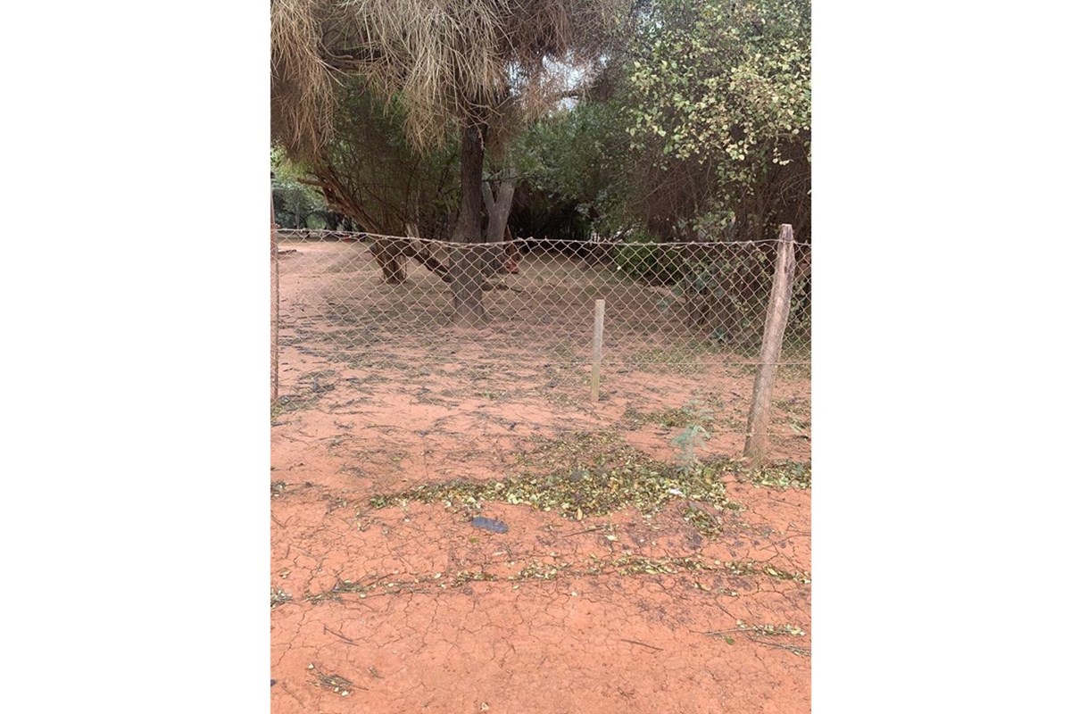 Lote con titulo actualmente cuenta con acceso por una calle paralela. El sector posterior no posee salida directa en la  — foto 2