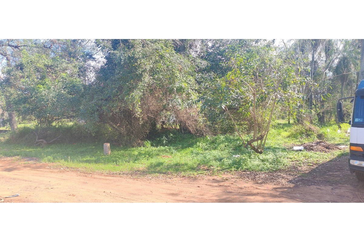 🚨🔥 ¡OPORTUNIDAD DE INVERSIÓN! 3 TERRENOS EN VENTA JUNTOS O POR SEPARADO 🔥🚨 — foto 2