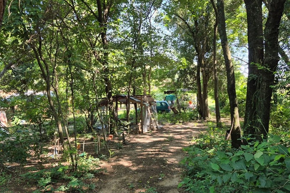 Propiedad con una superficie total de 2.500 m² (25 m de frente x 100 m de fondo), ideal tanto para casa quinta como para — foto 2
