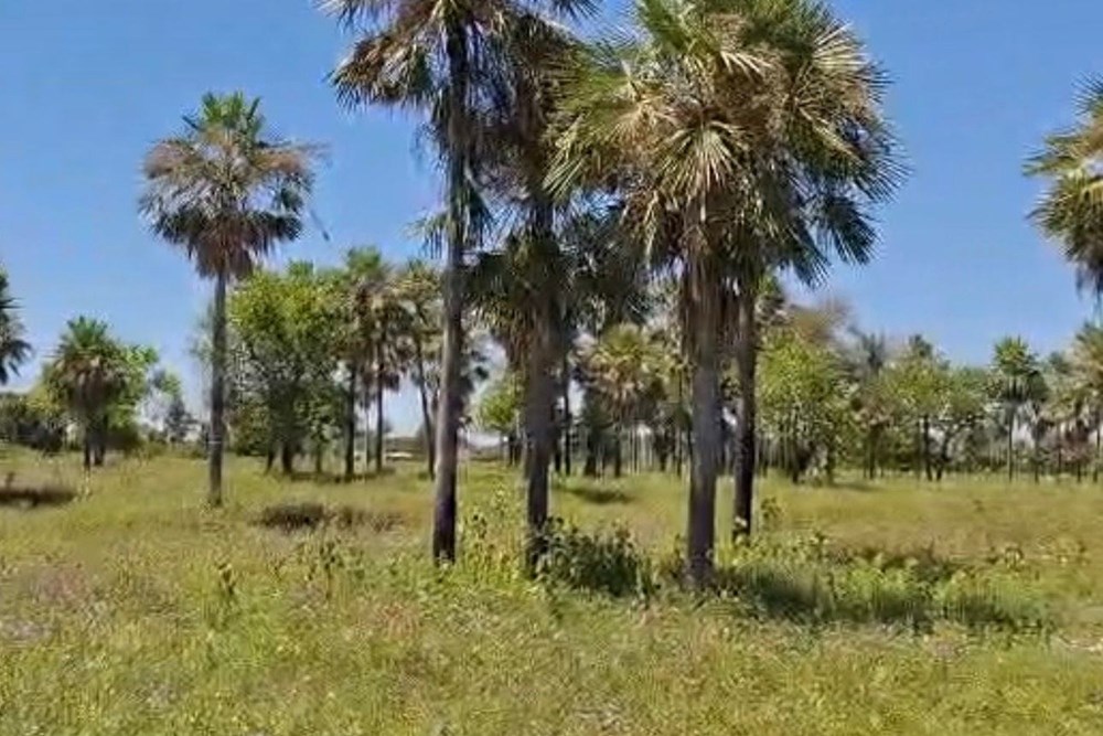 Terreno en venta en Villa Hayes — foto 3