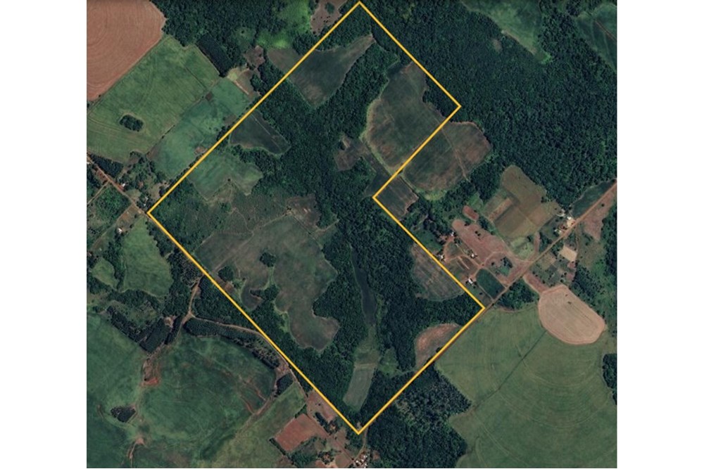 Hermosa propiedad de 76 hectáreas, apto para explotación agro ganadero forestal. — foto 3