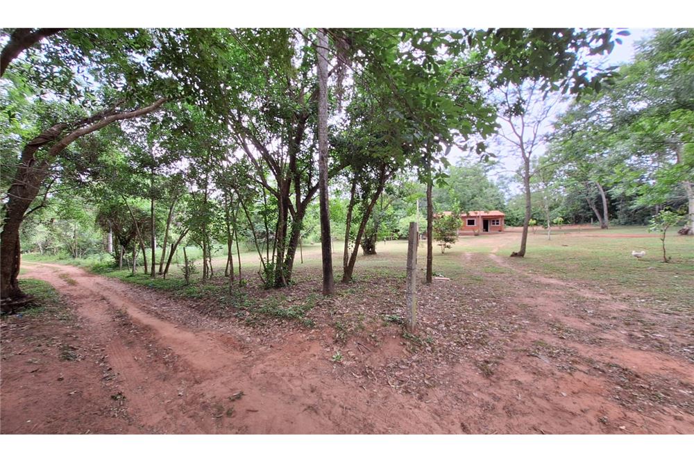 EN VENTA AMPLIO TERRENO EN ZONA TUJUKUA- DISTRITO DE EUSEBIO AYALA KM 64 — foto 3