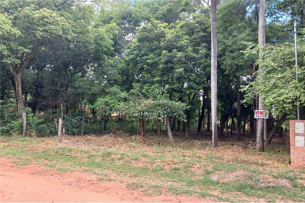 Terreno en venta en María Auxiliadora, Mariano Roque Alonso — foto 2