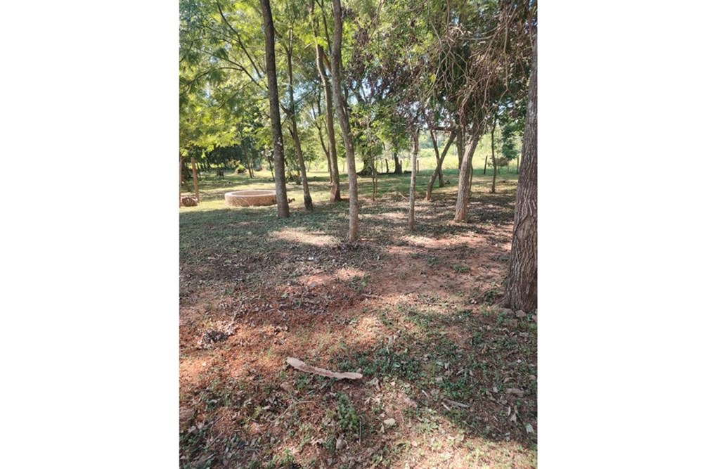 Terreno en venta en Nueva Germania — foto 3