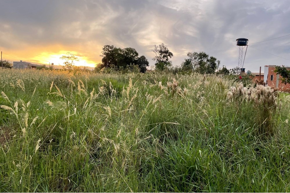 Terreno en venta en San Miguel, Hernandarias — foto 2