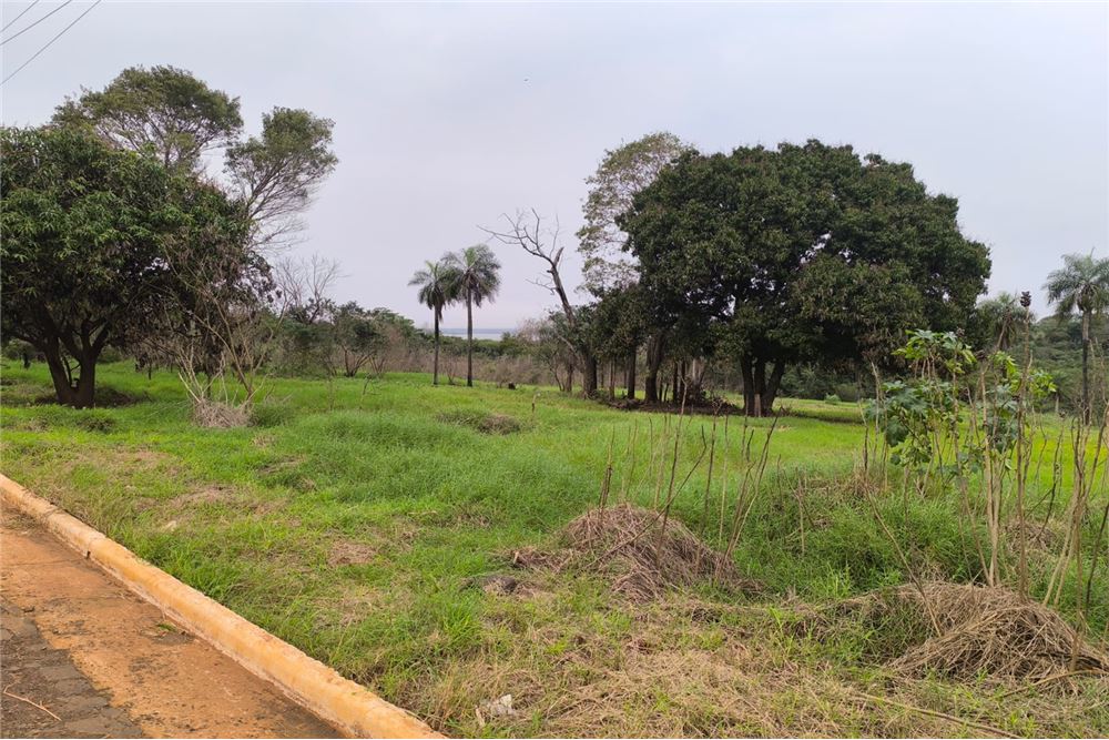 Terreno en venta en Encarnación — foto 3