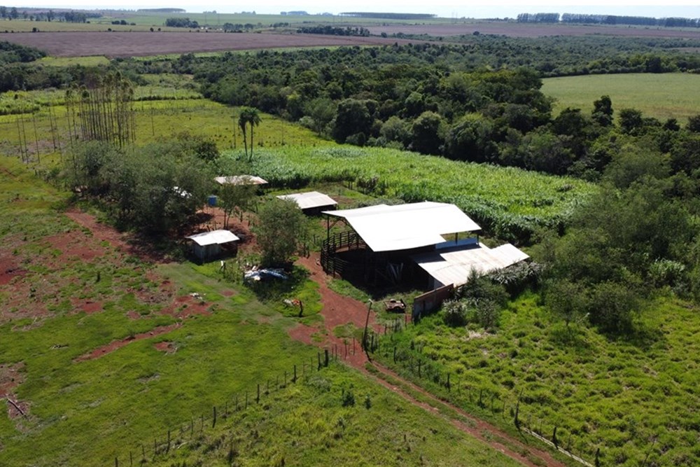 Campo en venta en Hernandarias — foto 2