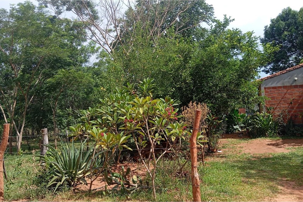 Casa en venta en Salado, Limpio — foto 2