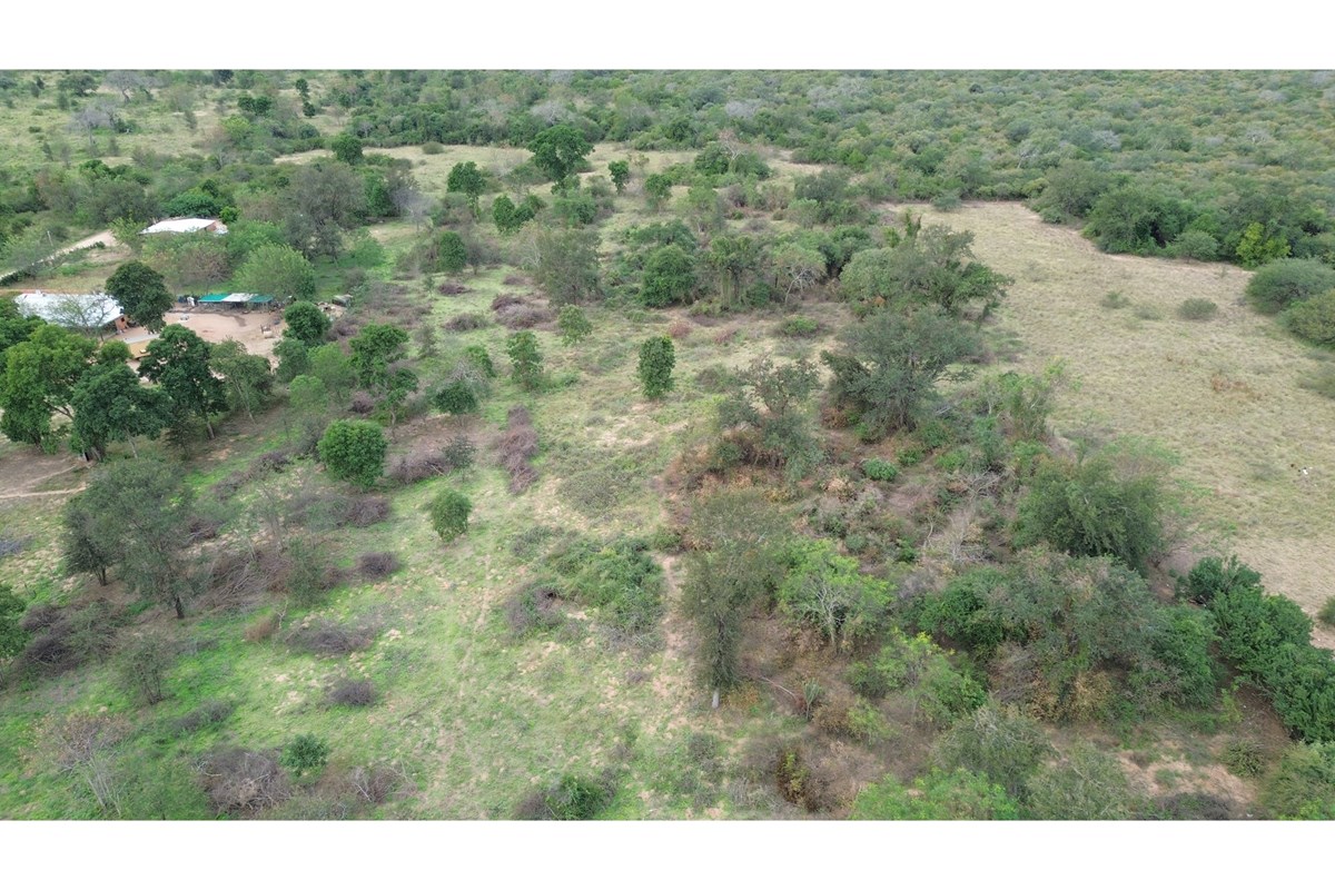 Terreno en venta en Loma Plata — foto 2
