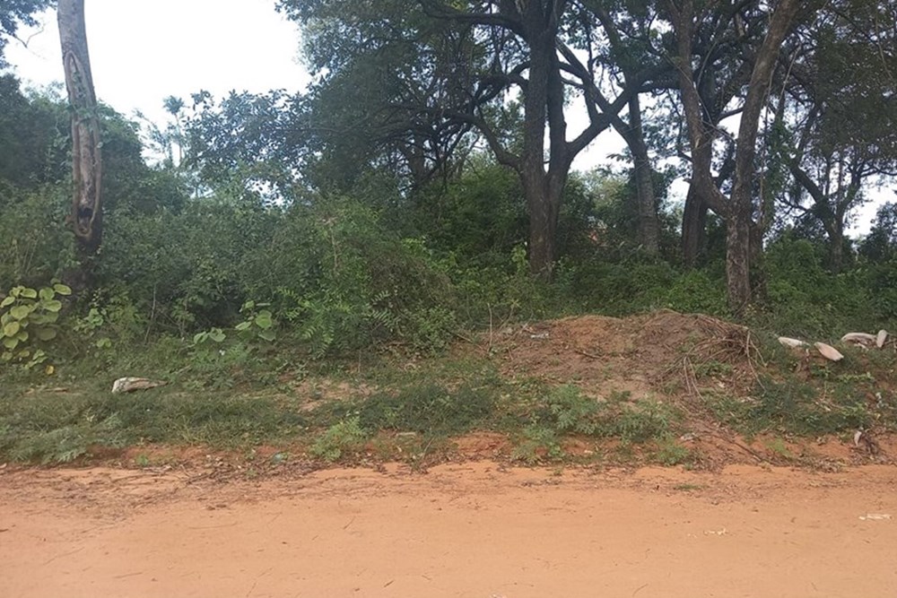Terreno en venta en Limpio — foto 3