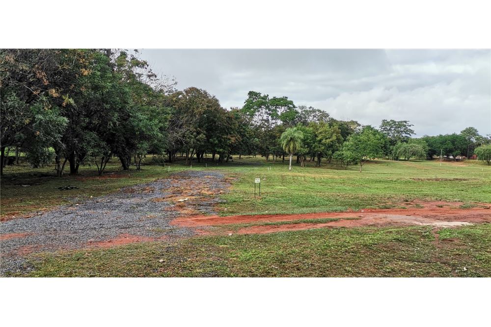 🌳FLORESTA BARRIO CERRADO 🌳 — foto 2