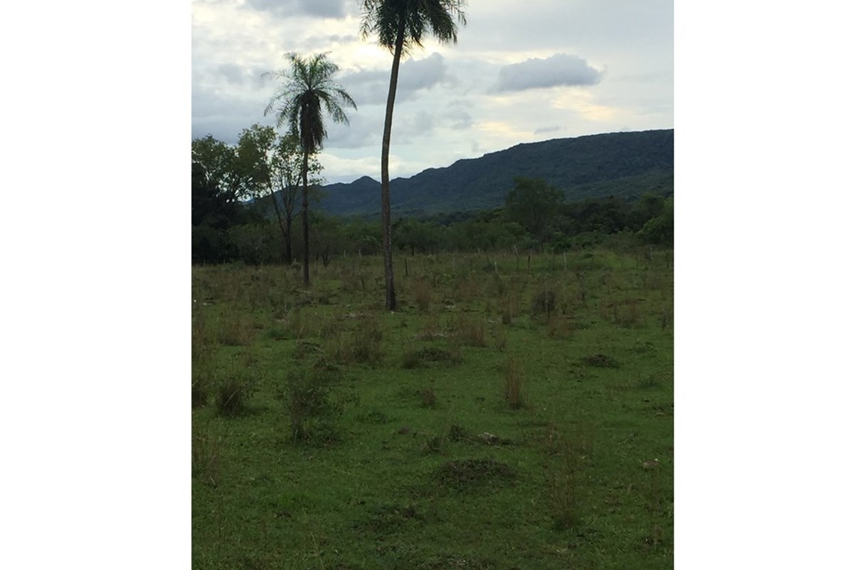 ¡Nueva oportunidad en el mercado! Presentamos un impresionante terreno disponible para la venta en Sapucai, Paraguarí, P — foto 2