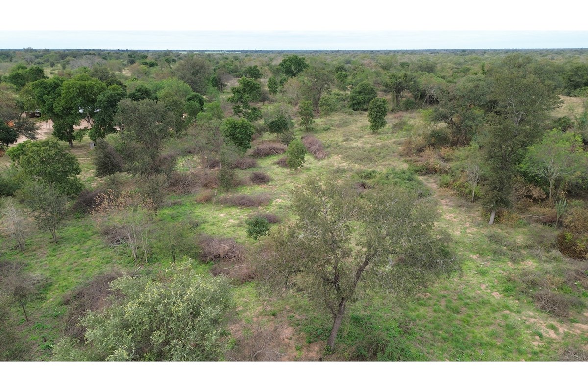 Terreno en venta en Loma Plata — foto 3
