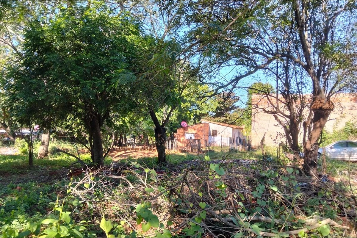 Terreno en venta en Aguapey, Limpio — foto 2