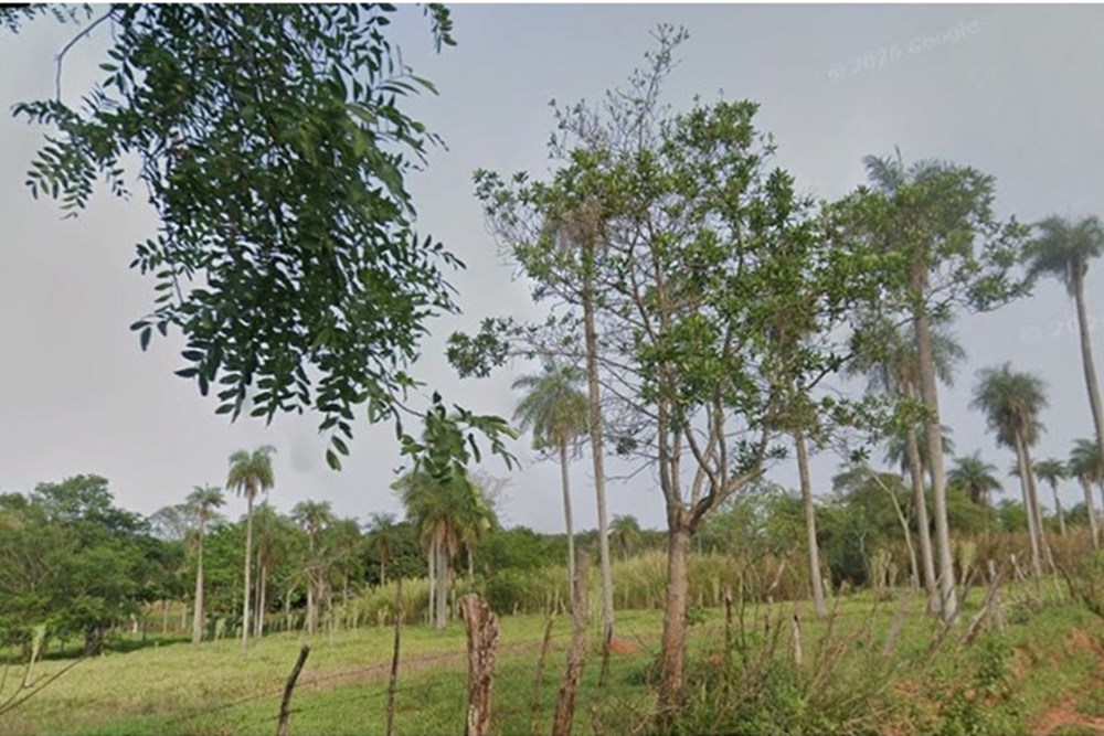 Descubrí este espectacular terreno de más de 1 hectárea con 5000m2 (15.000 m²) en la encantadora ciudad de Caacupé, uno  — foto 3