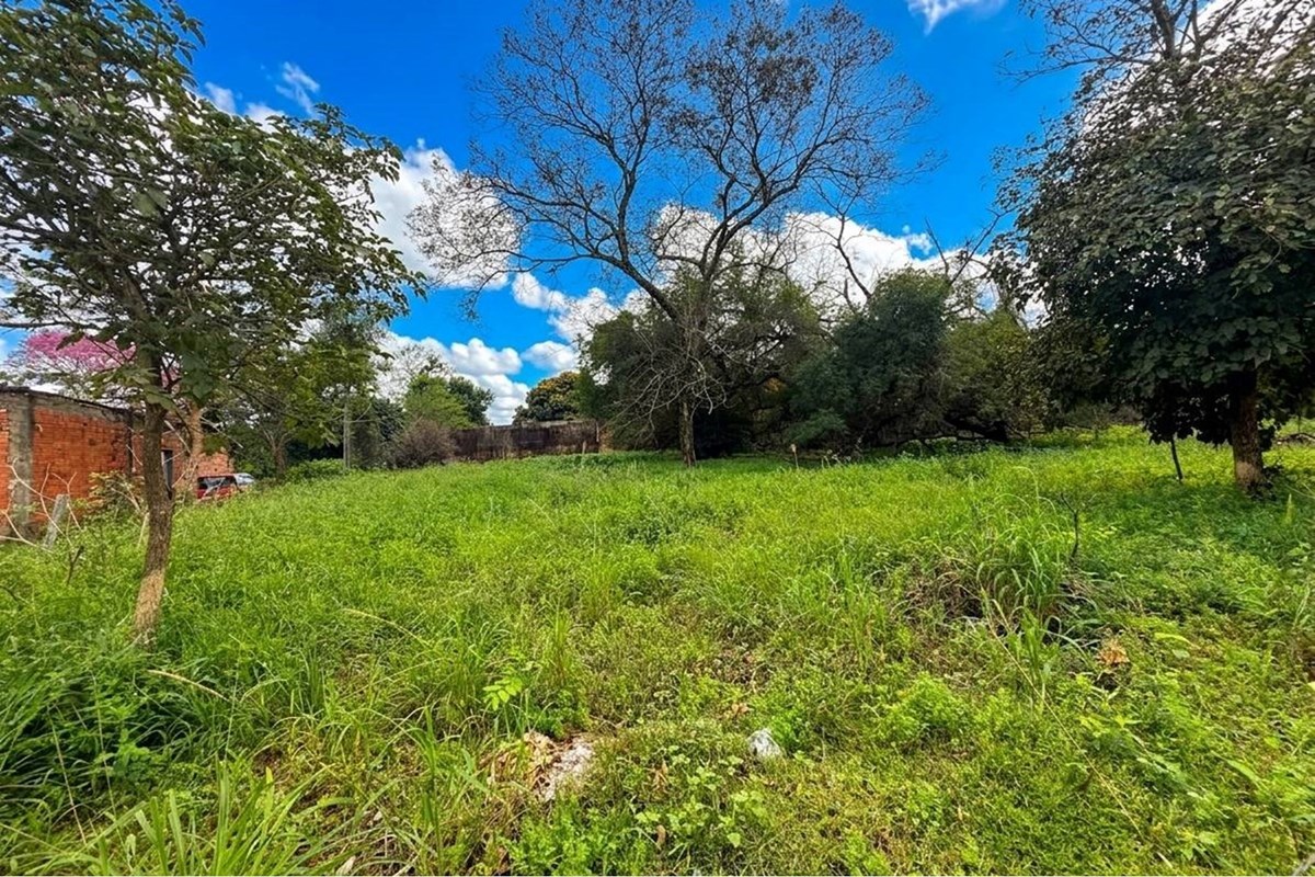 En venta amplio terreno en San Antonio, limite con Villa Elisa, sobre la calle empedrada Yvyturusu casi Avda. Los Naranj — foto 2
