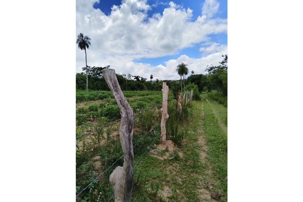 Terreno en venta en Mbatovi, Paraguarí — foto 2
