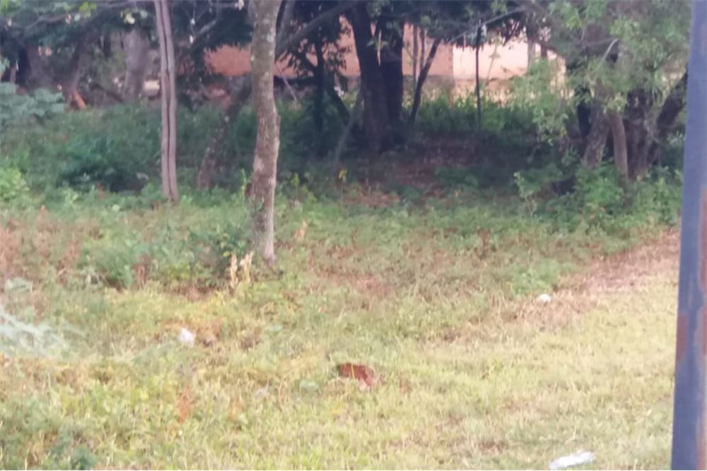 Un terreno ubicado en una esquina, sobre asfalto, en el centro de San Cosme y San Damián. Una ciudad próspera, con produ — foto 3