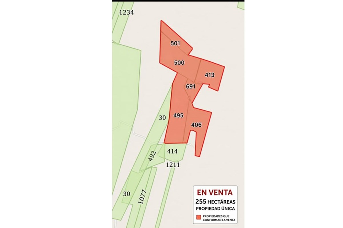Campo en venta en Laureles — foto 3