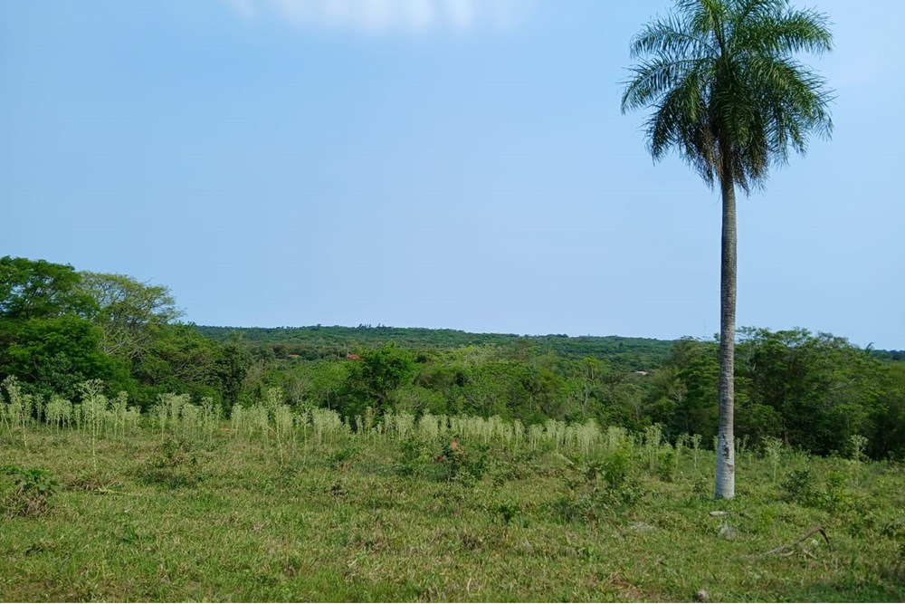 Vendo Terreno especial para inversión o casa quinta en la ciudad de Altos — foto 2
