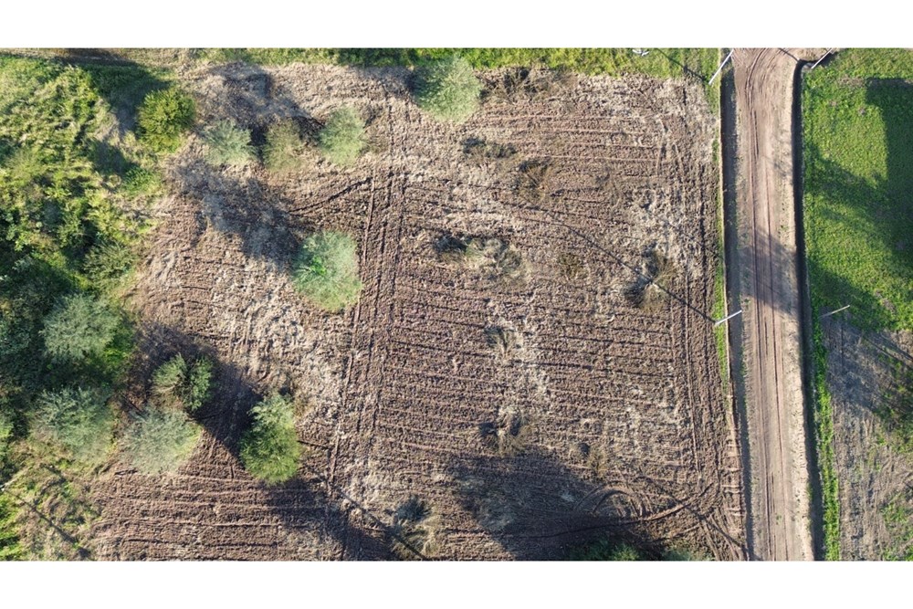 Terreno en venta en Loma Plata — foto 3