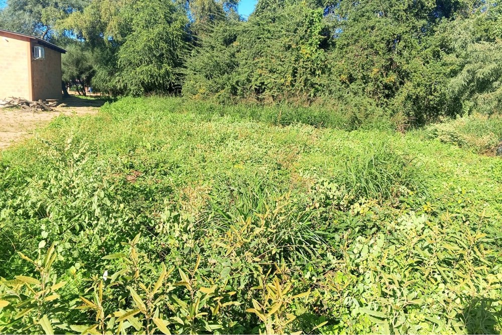 Terreno en venta en Filadelfia — foto 2