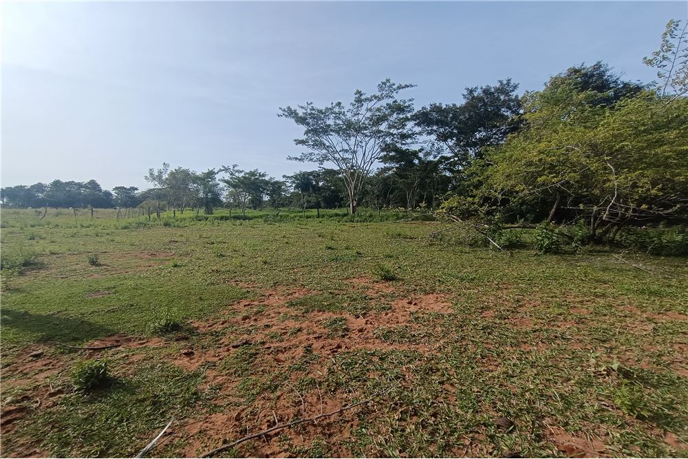 Campo en venta en San Estanislao — foto 2