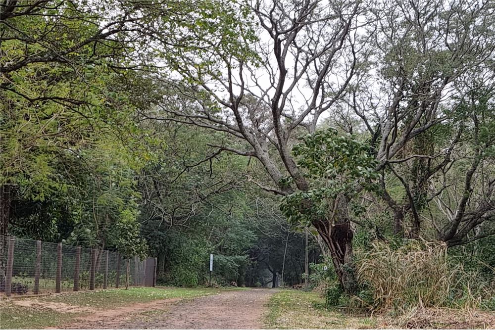 Terreno en venta en Mariano Roque Alonso — foto 3