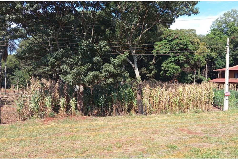 Terreno en venta en Hernandarias — foto 3