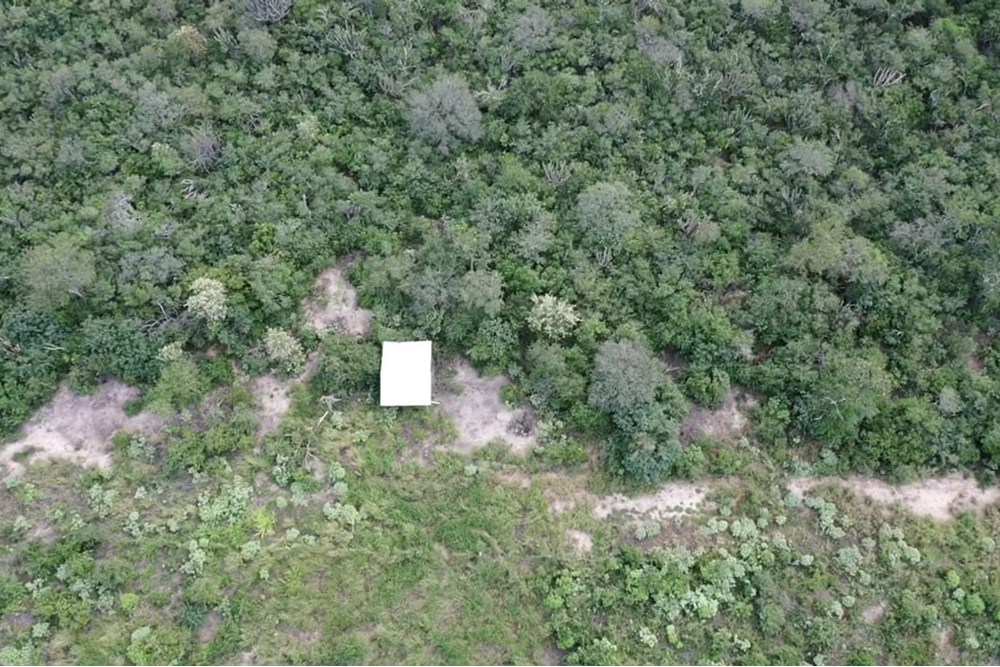 Campo en venta en Bahia Negra — foto 2