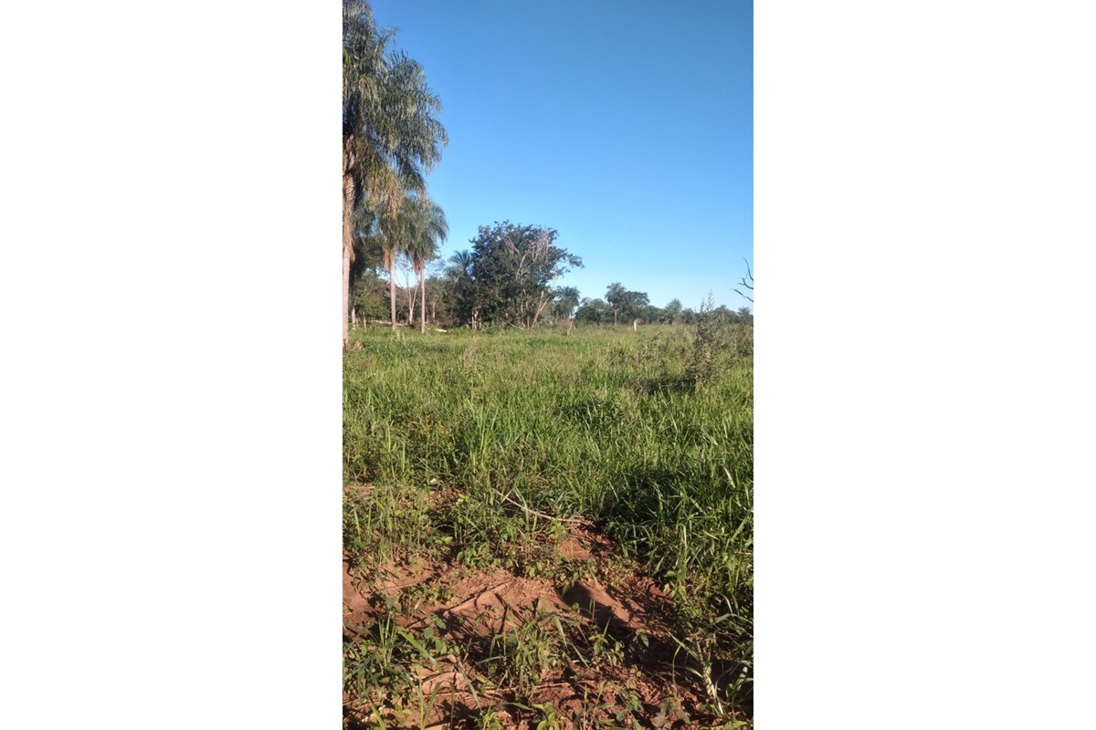 Terreno en venta en San Pedro — foto 3