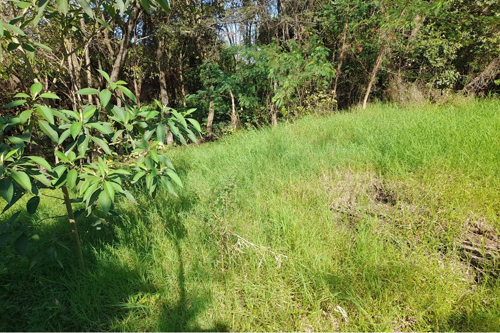 ¡Excelente oportunidad de inversión! Este terreno en el Barrio Santa María de Encarnación representa una opción atractiv — foto 3