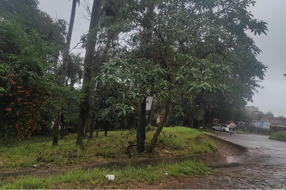 Terreno en venta en San Pedro, Encarnación — foto 3