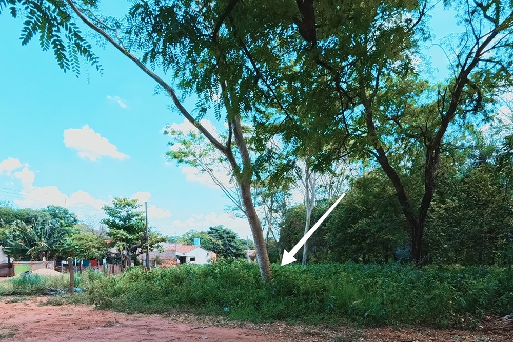Terreno en venta en Ypané — foto 2