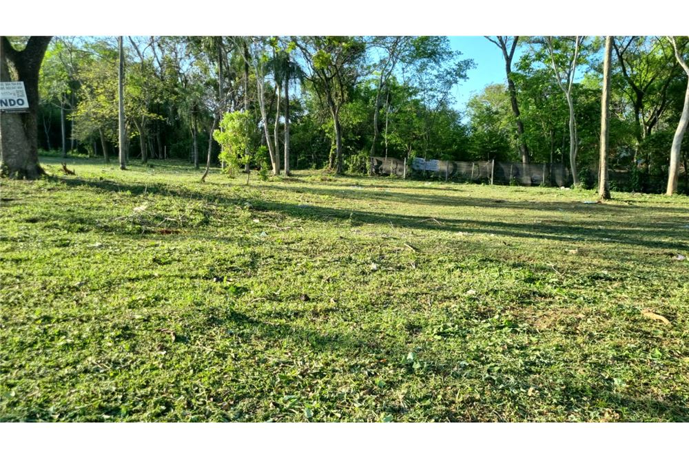 🌳 Venta de Terreno en Limpio - Oportunidad Única para tu Proyecto 🏡 — foto 3