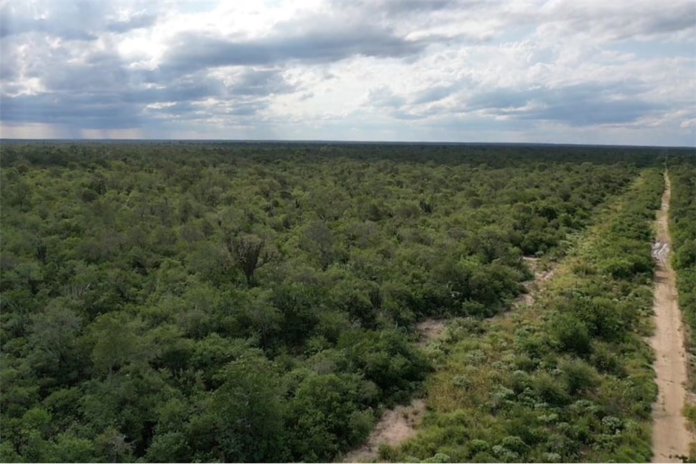 Campo en venta en Mayor Pablo Lagerenza — foto 3