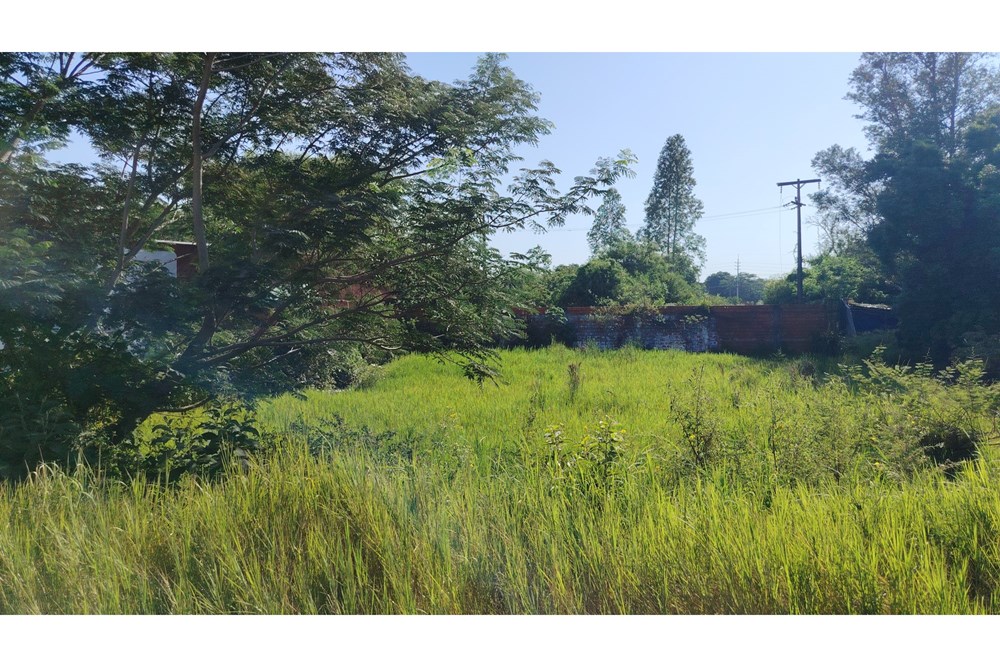 Terreno en venta en Ypané — foto 2