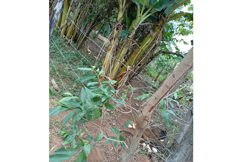 Terreno en venta en Belén — foto 3