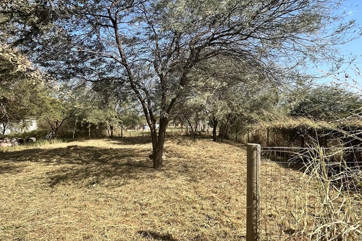 Terreno en venta en Filadelfia — foto 3
