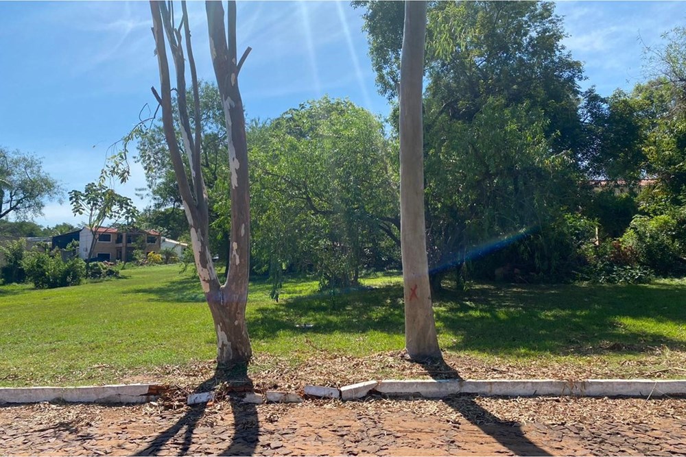 Terreno en venta en Pilar del Este, Ypané — foto 3