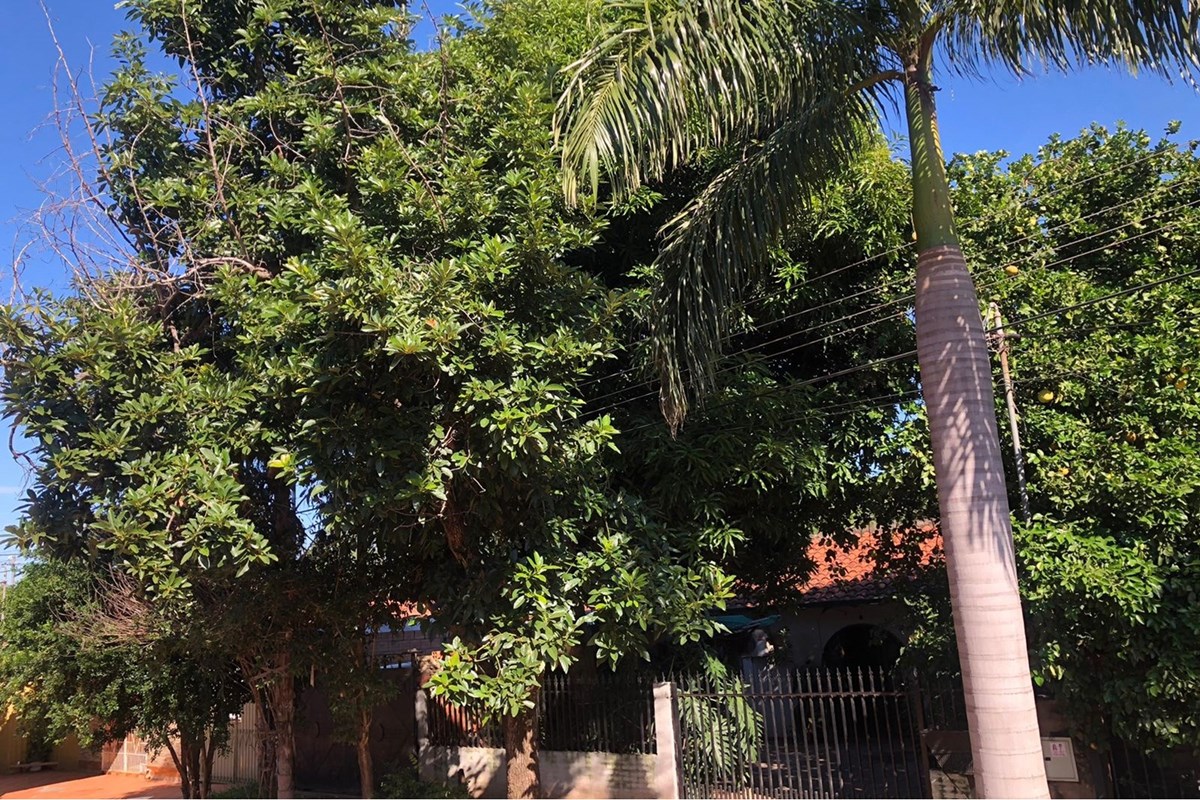 Casa en venta en Costa Salinares, Capiatá — foto 3
