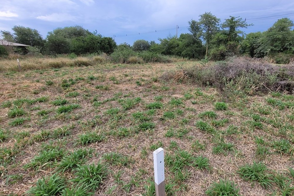 Terreno en venta en Filadelfia — foto 3