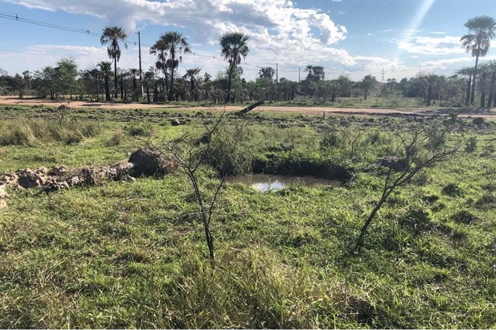 Terreno en venta en Limpio — foto 3
