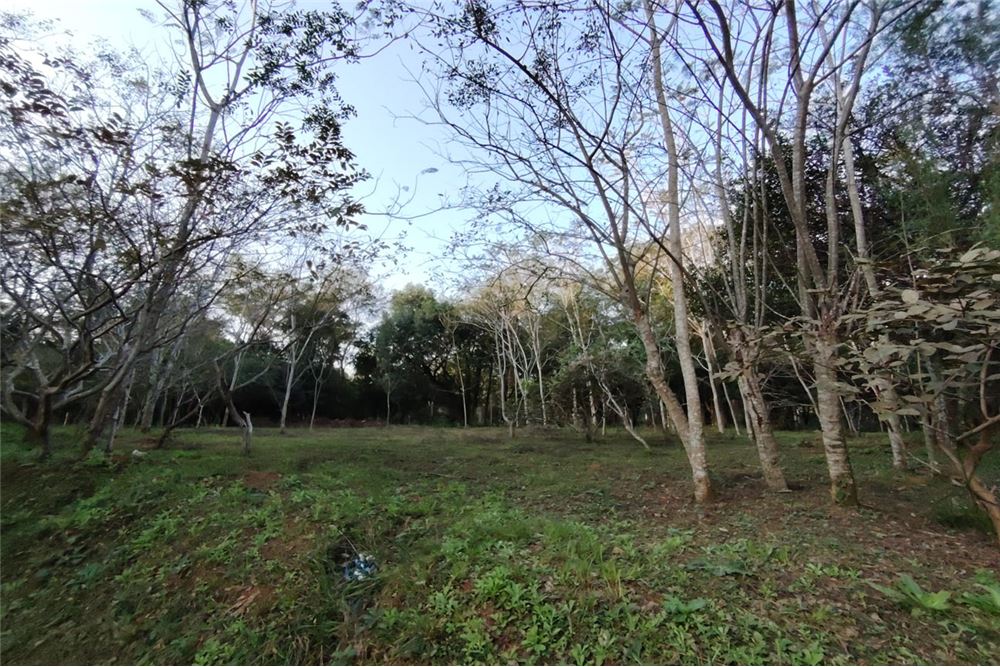 Terreno en venta en Ypané — foto 2