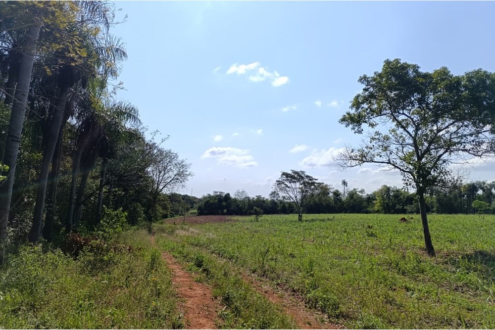 Campo en venta en Rincón, Guarambaré — foto 3