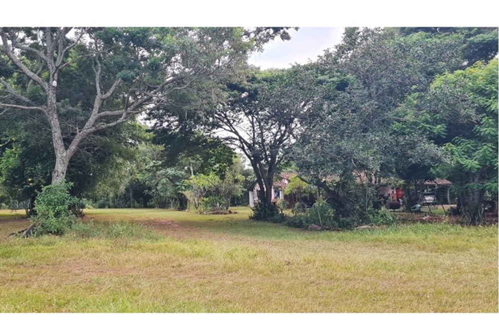 Terreno en venta en San Ignacio — foto 3