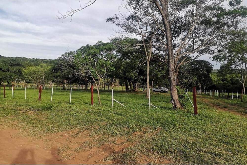 Terreno en venta en Nueva Colombia — foto 2